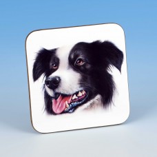 8211 Coaster-MARK CHARLES-COLOURED BORDER COLLIE